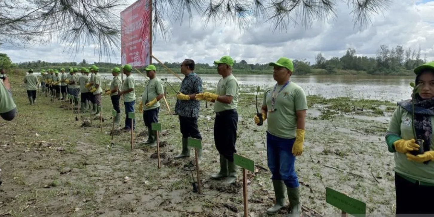 Screenshot 2024-08-22 at 11.27.08