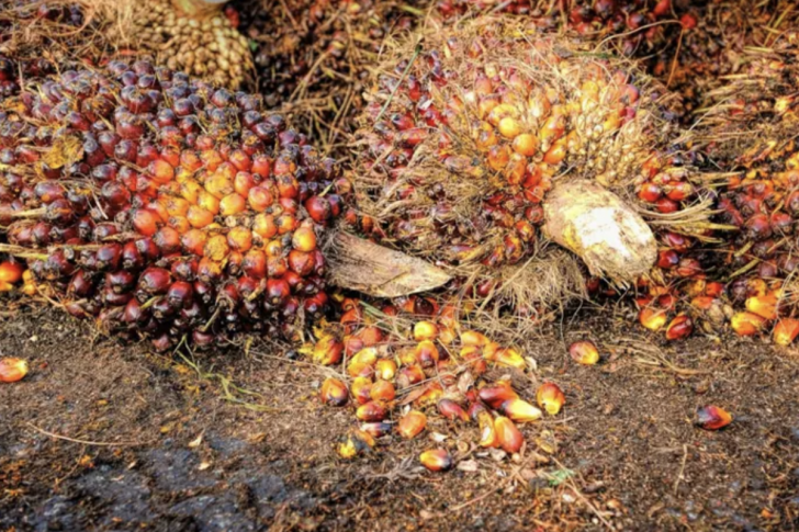 Screenshot 2024-08-26 at 08.22.28