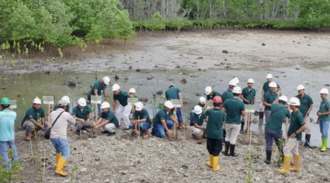 Screenshot 2024-09-10 at 09.08.43