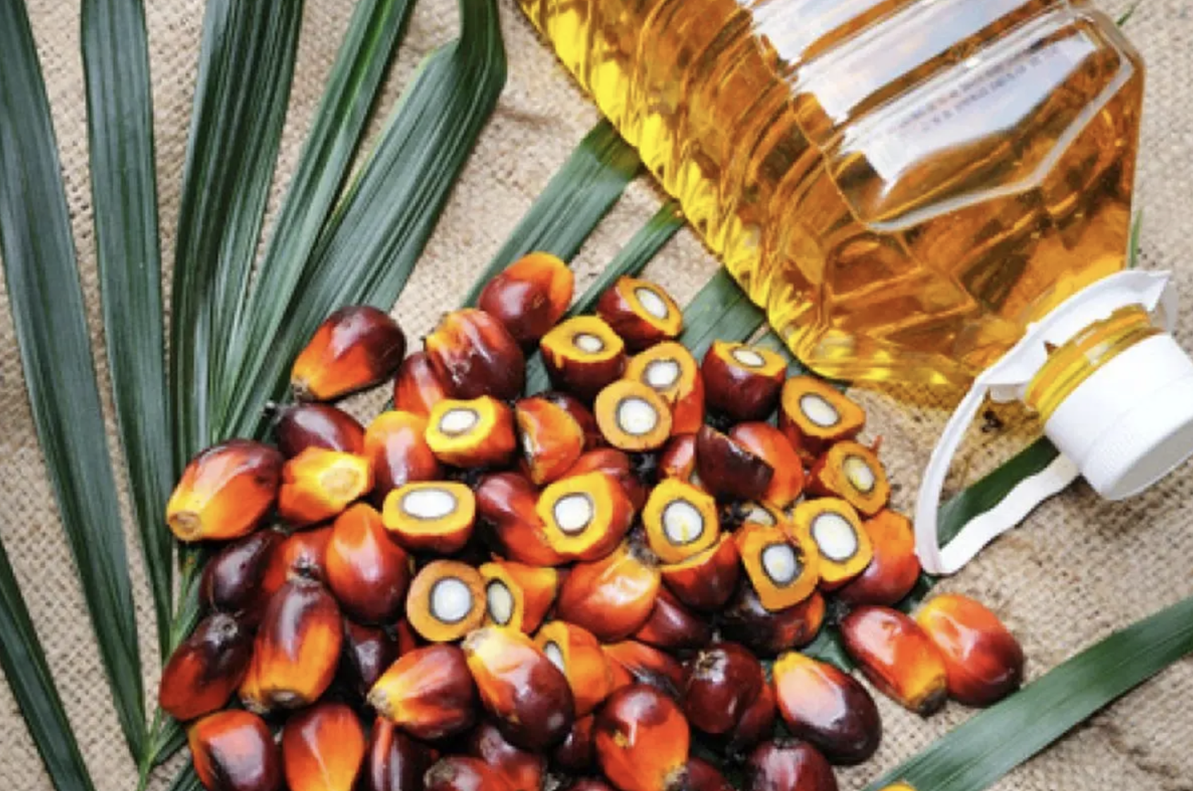 Screenshot 2024-09-10 at 10.05.14