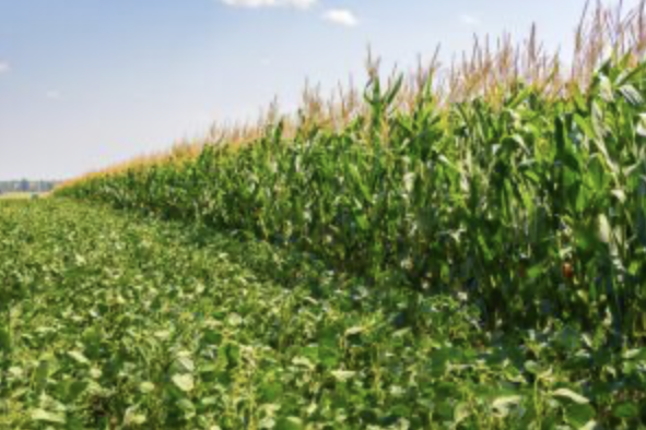 Screenshot 2024-09-17 at 07.53.46