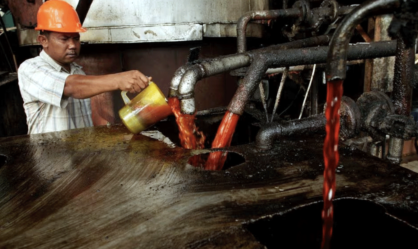 Screenshot 2024-09-17 at 07.58.32