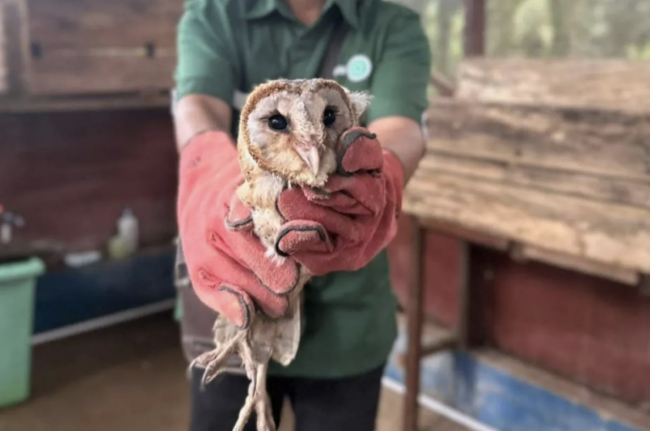 Screenshot 2024-09-17 at 16.20.35