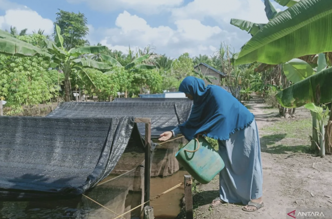 Screenshot 2024-09-17 at 16.23.24