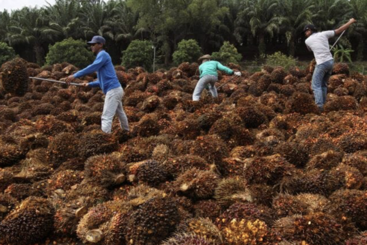 Screenshot 2024-09-19 at 09.48.23