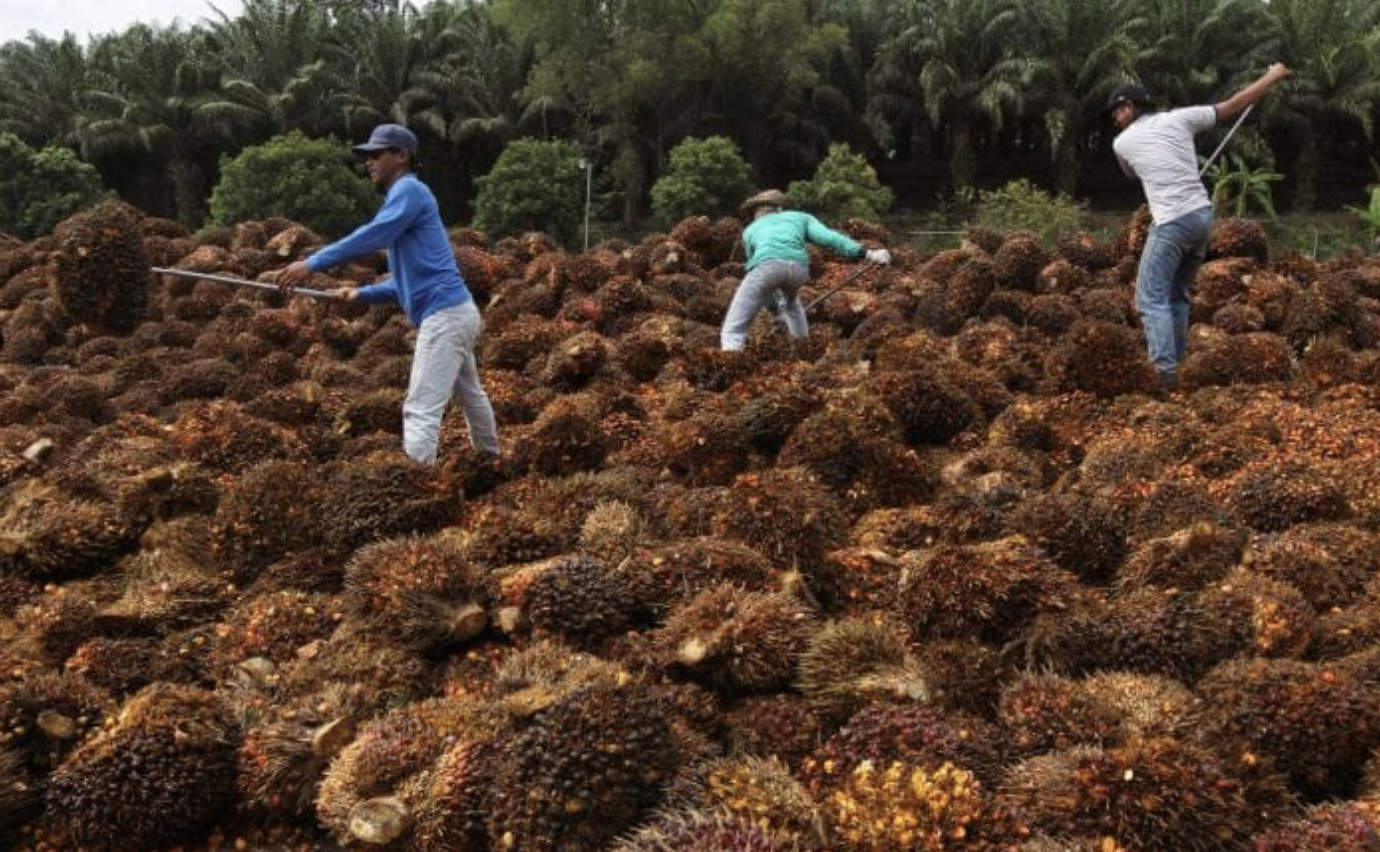 Screenshot 2024-09-19 at 09.48.23