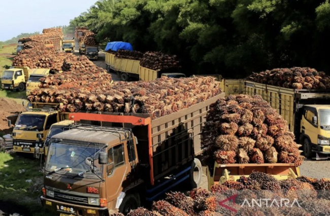 Screenshot 2024-09-19 at 10.02.53