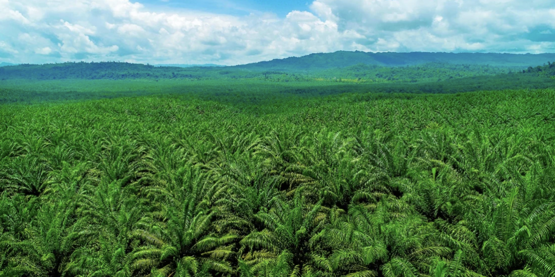 Screenshot 2024-09-23 at 10.06.17