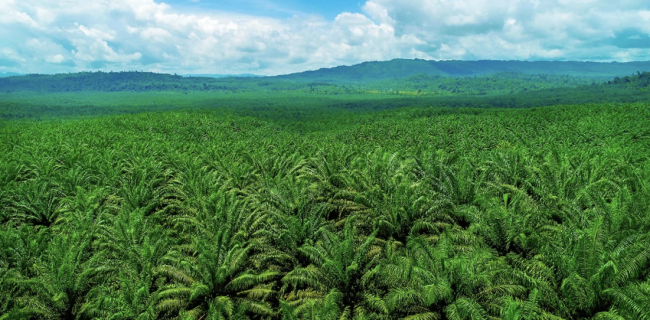 Screenshot 2024-09-23 at 10.06.17