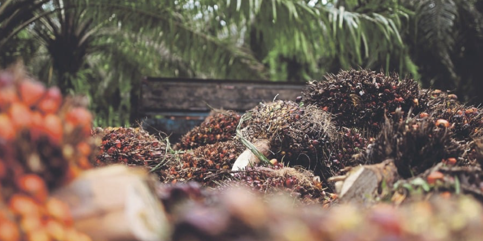 Screenshot 2024-09-23 at 16.35.39