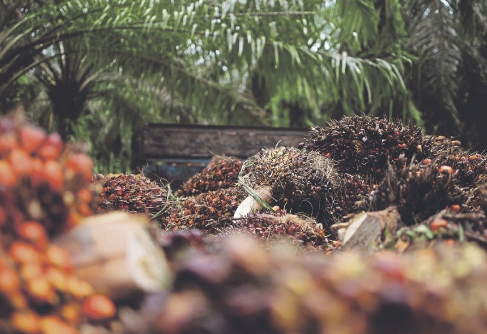 Screenshot 2024-09-23 at 16.35.39