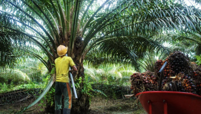 Screenshot 2024-09-26 at 15.48.45