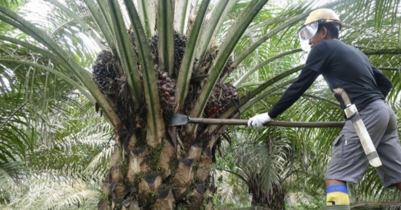 Screenshot 2024-09-26 at 15.53.11