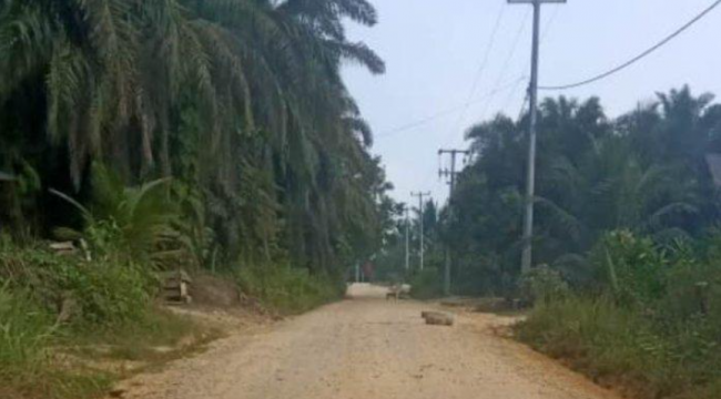 Screenshot 2024-10-10 080742