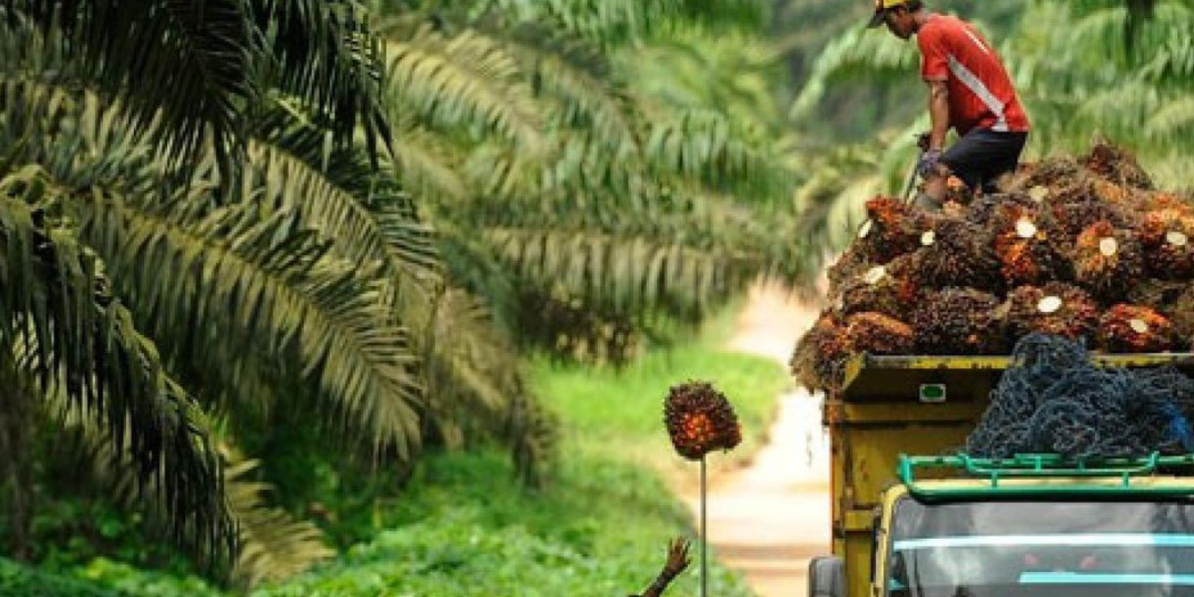 Screenshot 2024-11-18 162420