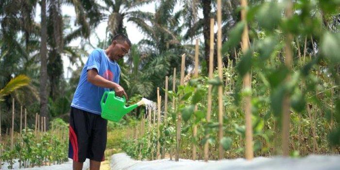 04122024-pt-sal2-700×350