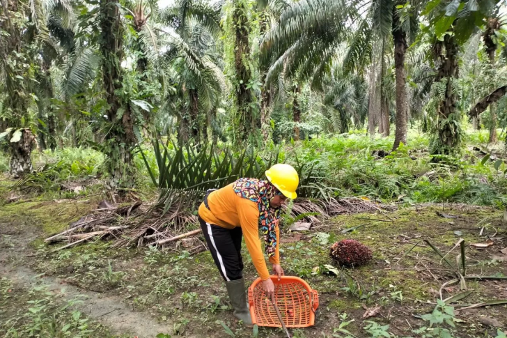 46E8039B-692D-4C4A-AF3C-81FF39AB6F2A-1513883030