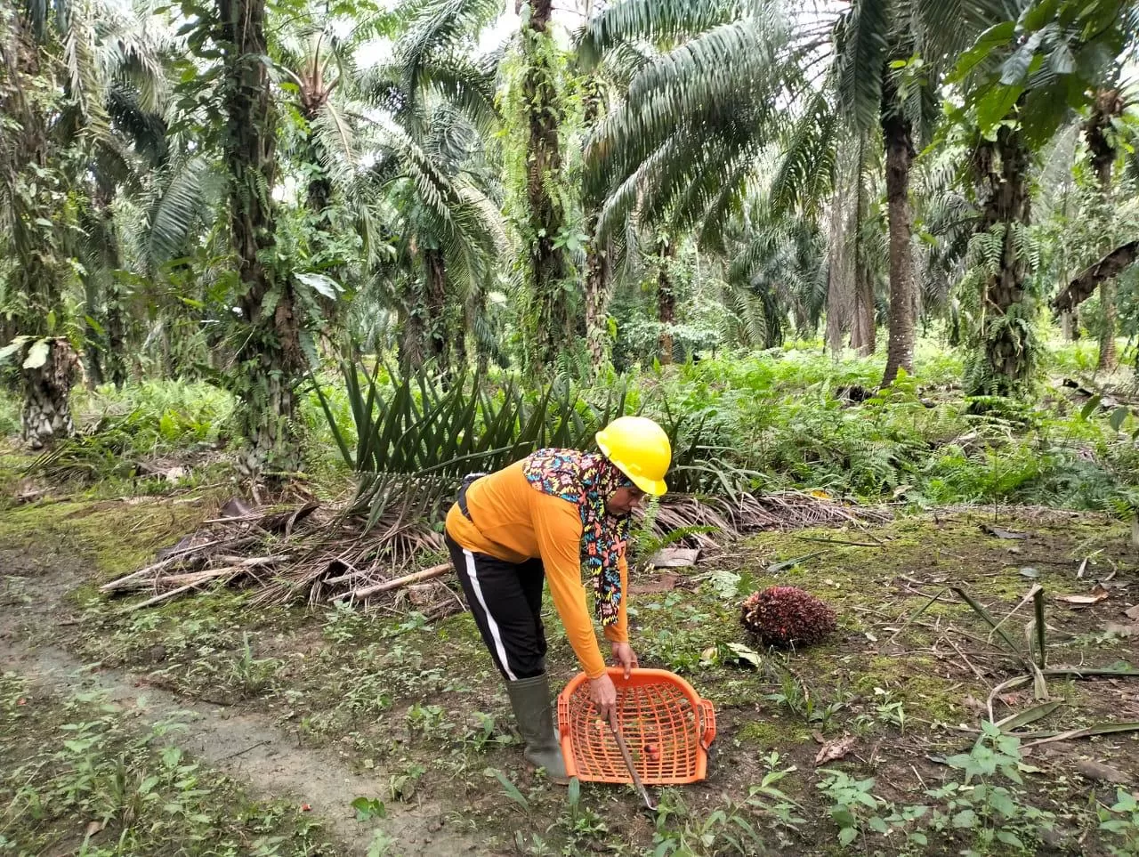 46E8039B-692D-4C4A-AF3C-81FF39AB6F2A-1513883030