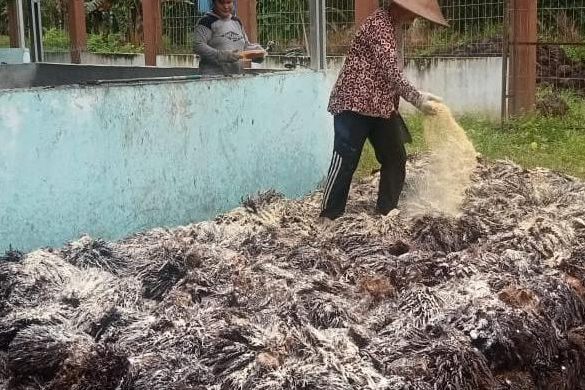 IMG-20241226-WA0098-780×390