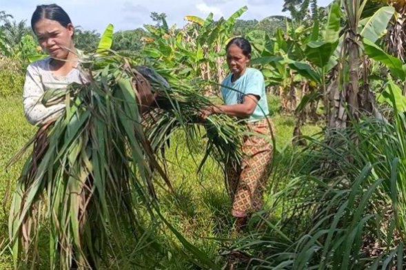 21022025-suku-anak-dalam33