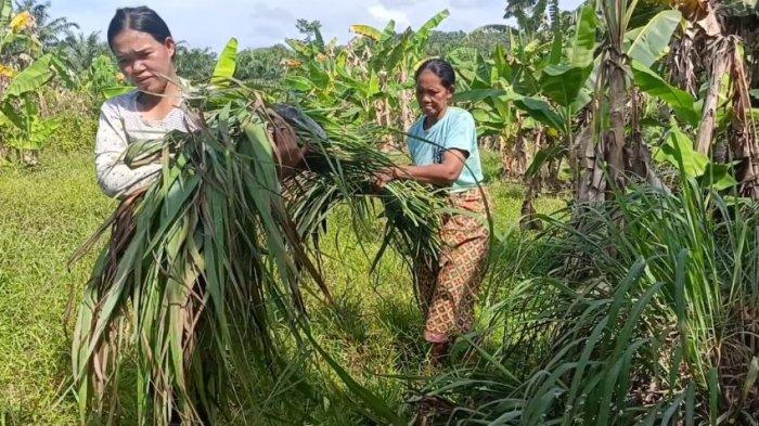 21022025-suku-anak-dalam33