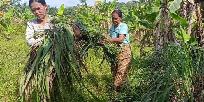 21022025-suku-anak-dalam33