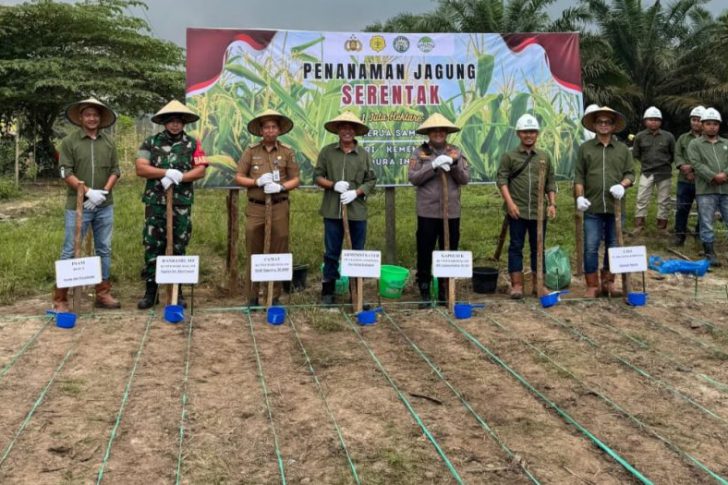 IMG-20250205-WA0005-1050×525-2