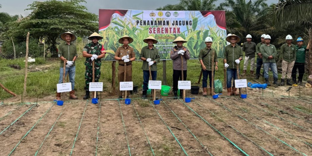 IMG-20250205-WA0005-1050×525