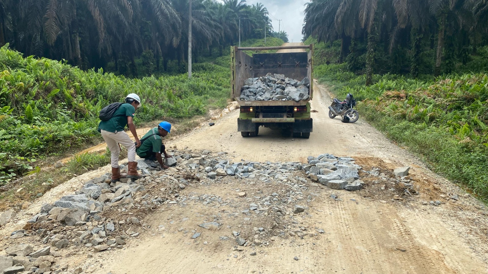 WhatsApp Image 2025-04-23 at 13.31.46