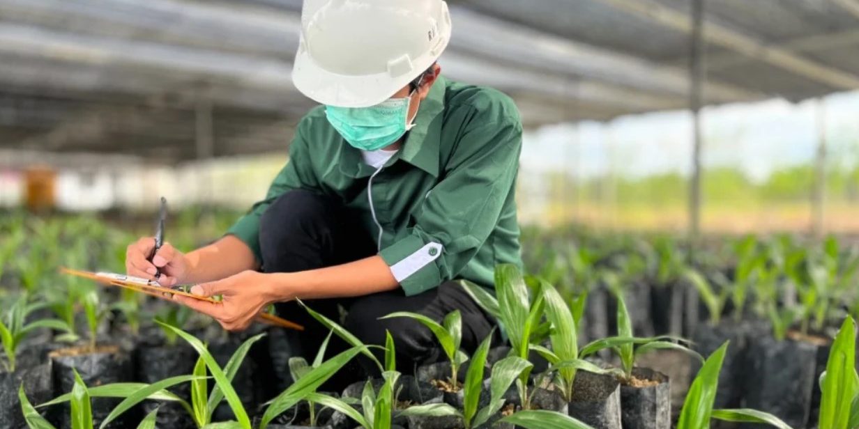 Screenshot 2025-05-28 080740