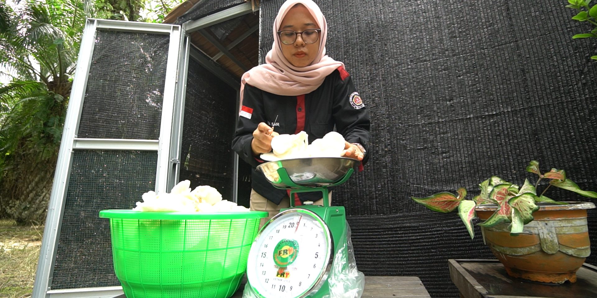 00185.MTS_snapshot_00.18.344