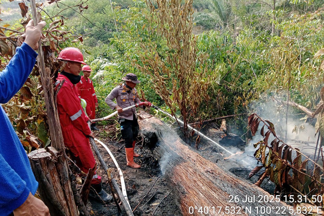 WhatsApp Image 2025-08-25 at 14.30.02