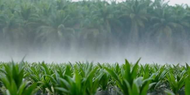 WhatsApp-Image-2025-09-18-at-13.30.37-2-1600×800