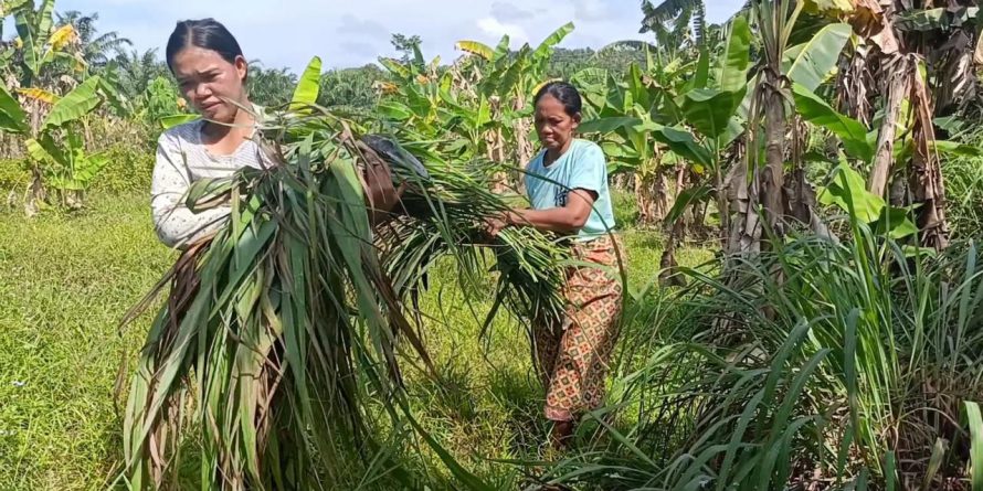 WhatsApp Image 2025-09-22 at 10.12.50