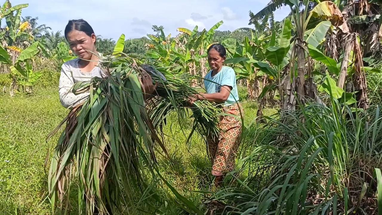 WhatsApp Image 2025-09-22 at 10.12.50