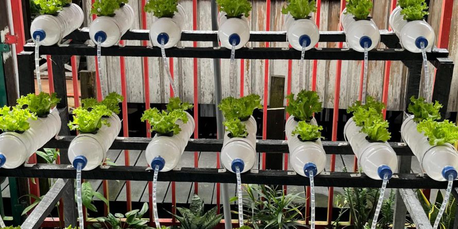 WhatsApp Image 2025-10-02 at 09.50.24