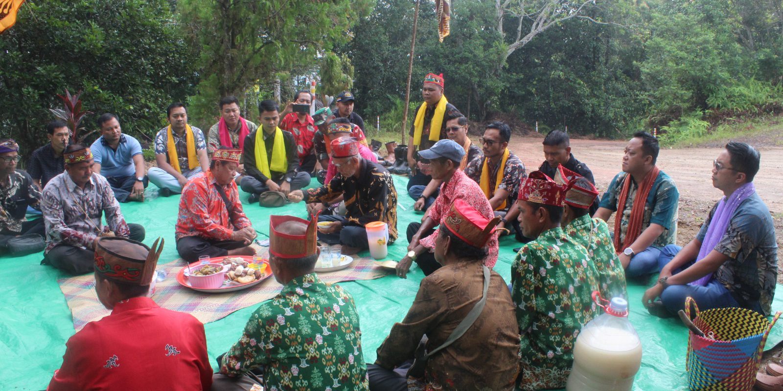 WhatsApp Image 2026-02-16 at 16.25.04