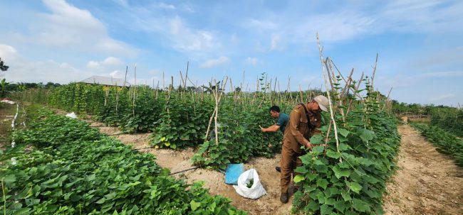 3267f24b-27eb-437d-93f7-31941c9bda70