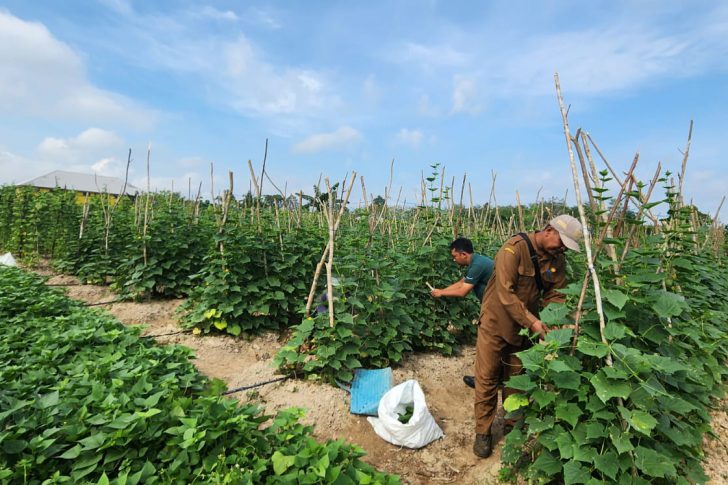 3267f24b-27eb-437d-93f7-31941c9bda70