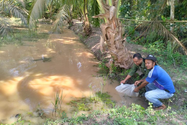 WhatsApp Image 2026-03-31 at 13.51.30