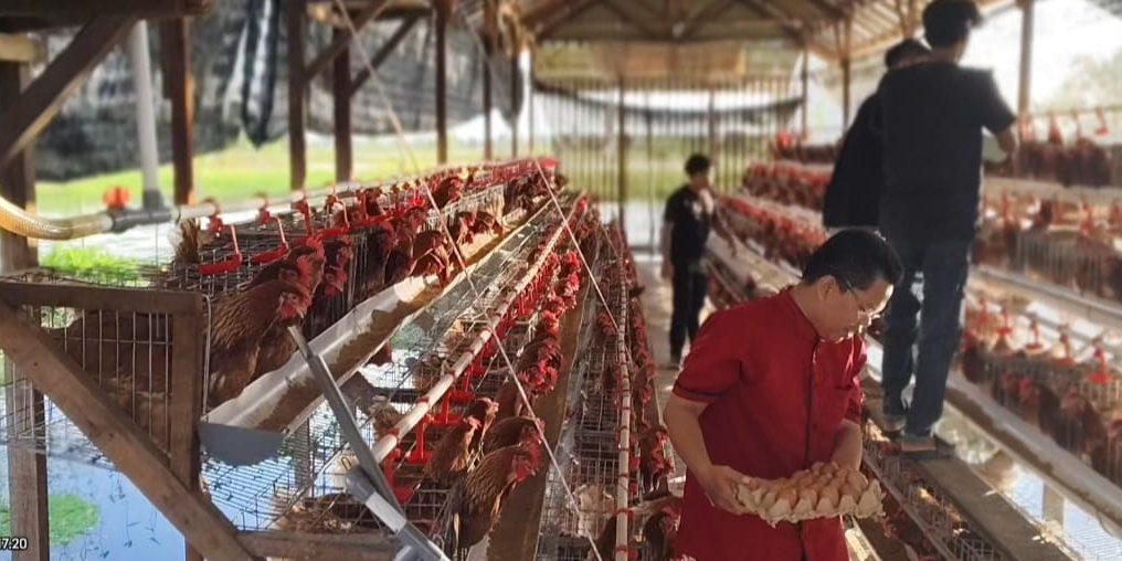 WhatsApp Image 2026-04-09 at 08.34.31